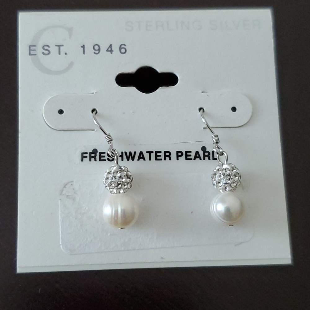 NWT Earrings